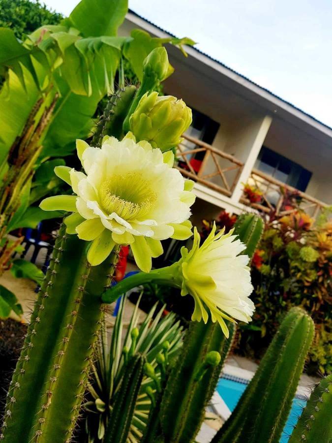 Vaea Hotel Samoa Apia Exterior photo